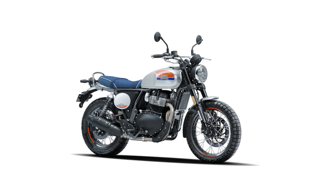 Bear 650 - Boardwalk White - 2