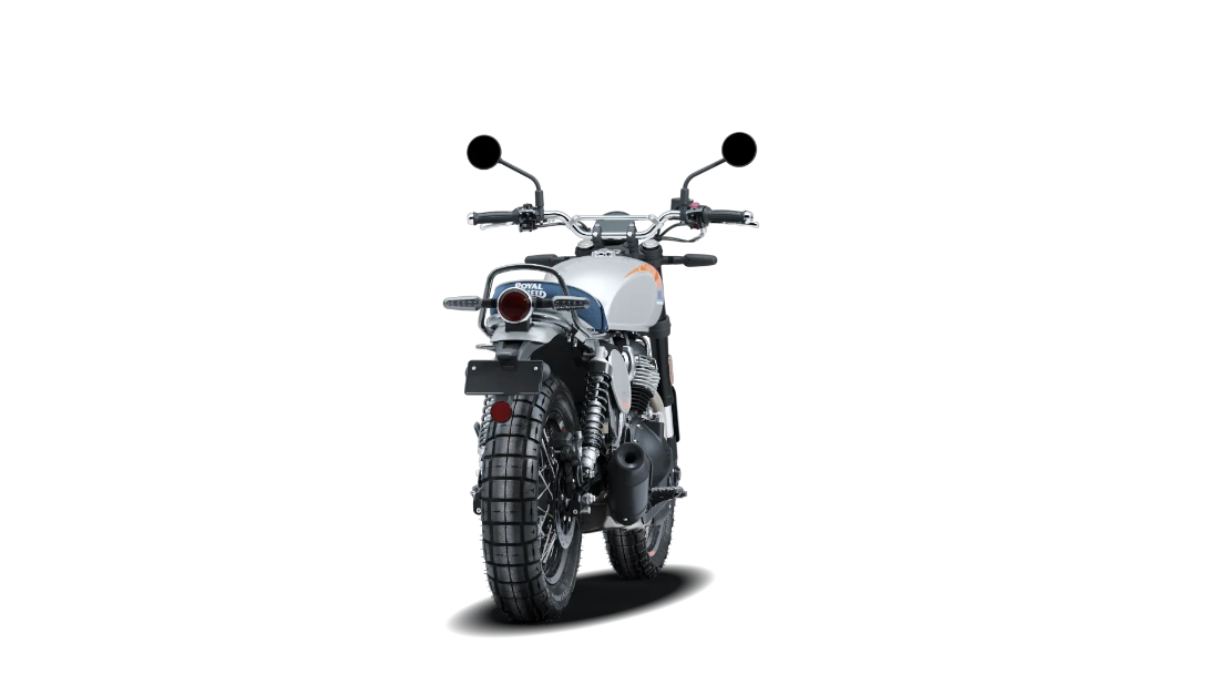 Bear 650 - Boardwalk White - 7
