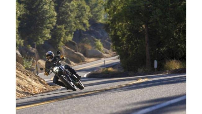 RoyalEnfield_Bear650_act_129